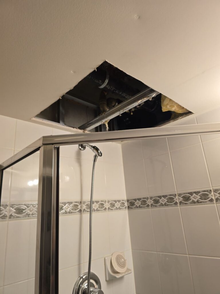 Bathroom Ceiling Leak Inspection