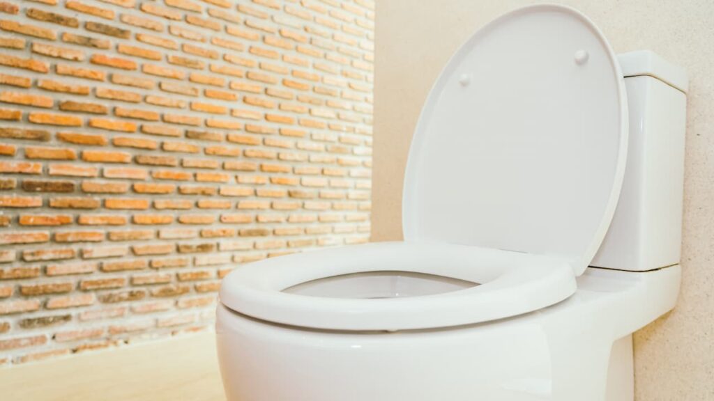 How to Tighten Toilet Seat: Quick Fix for Loose Seat