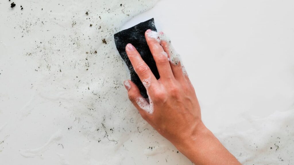 How To Get Rid Of Black Mold In Shower and Bathroom