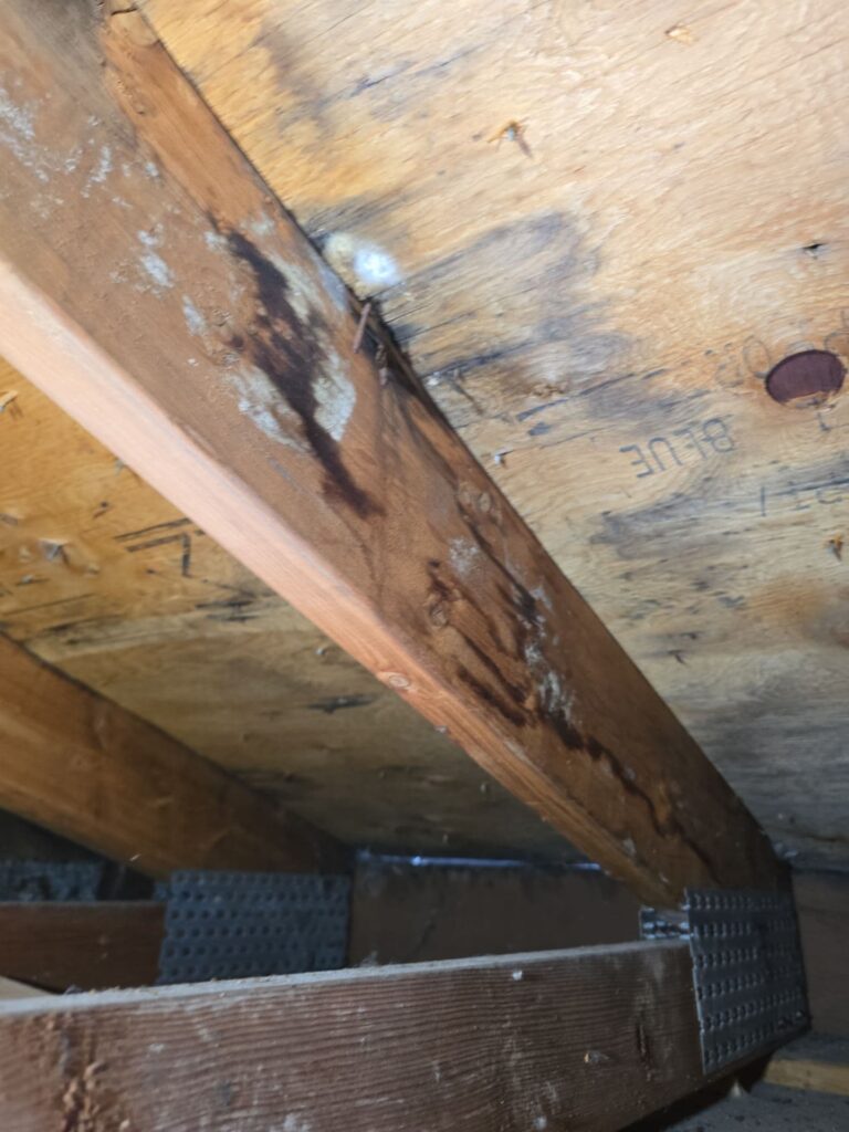 Drywall ceiling replacement