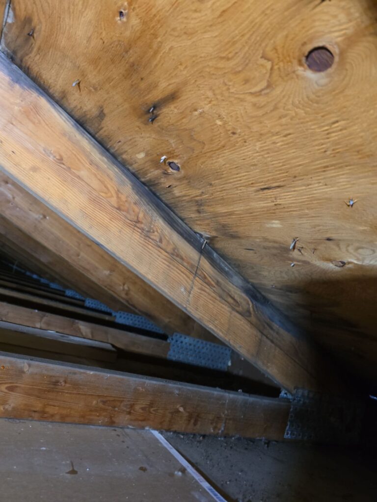 Drywall ceiling replacement