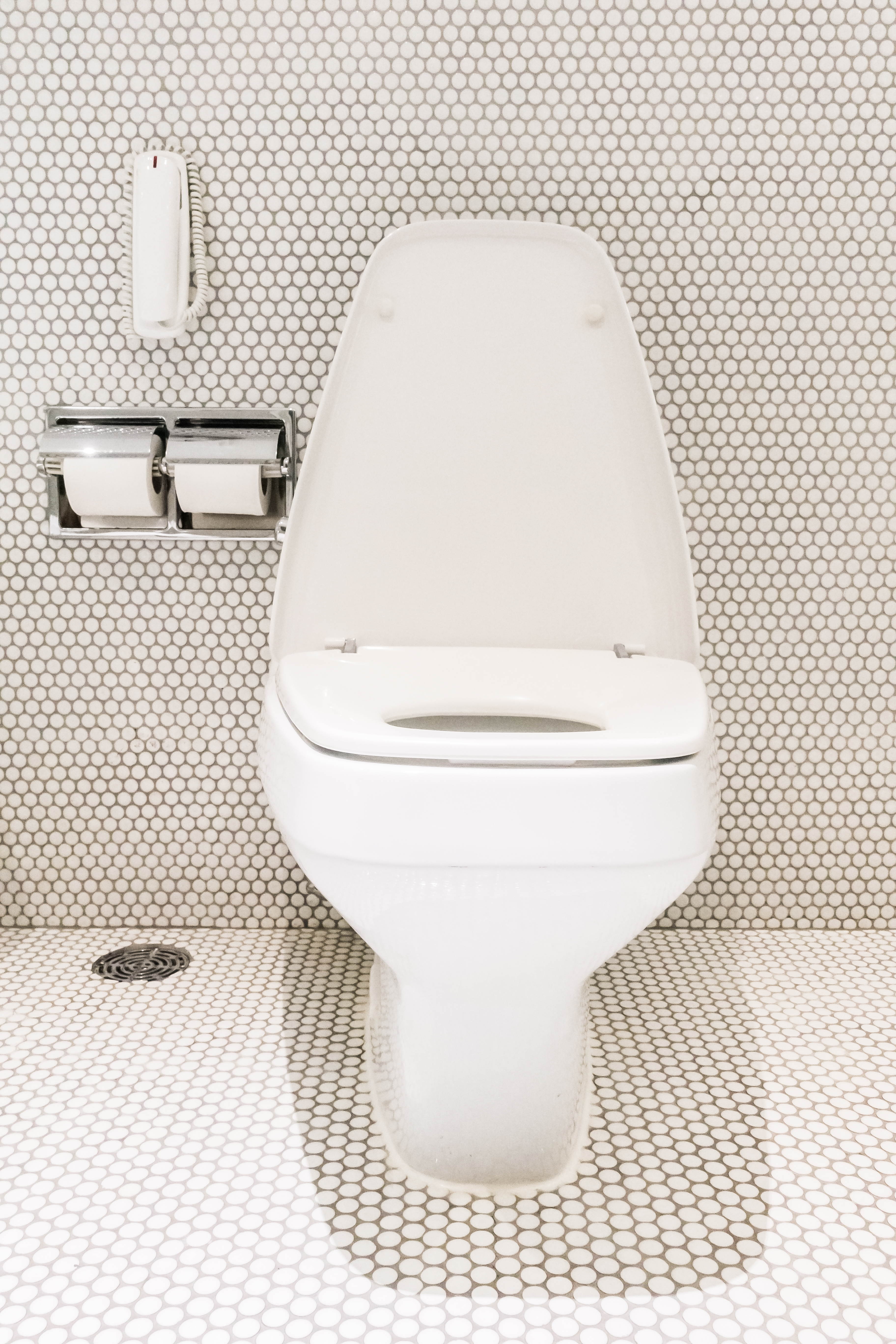 Types Of Toilets Every Homeowner Should Know About